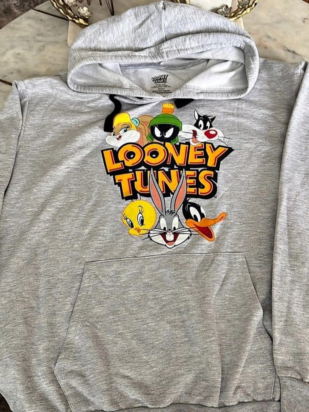 Looney Tunes Character Group Graphic Hoodie Gray & Black Boys 3XL